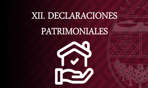 DECLARACIONES PATRIMONIALES