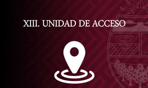UNIDAD DE ACCESO