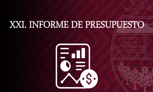 INFORME DE PRESUPUESTO